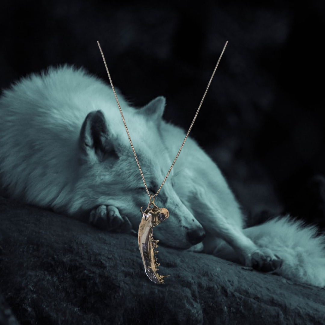The Dire Wolf